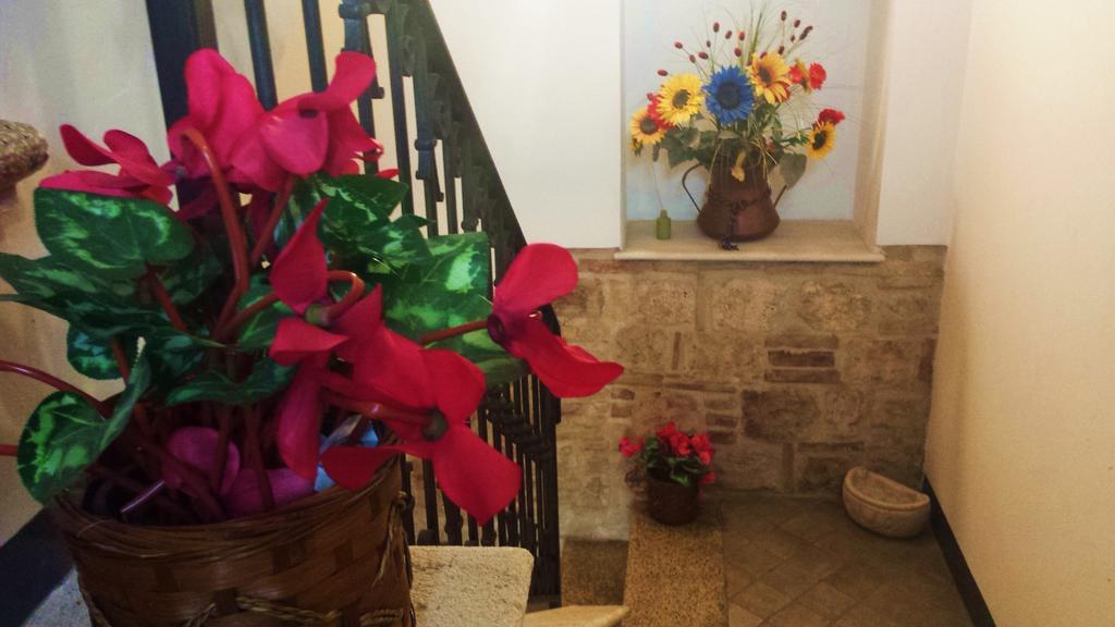 Il Ciclamino Bed And Breakfast Ascoli Piceno Exterior foto